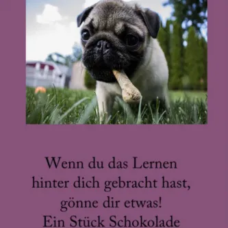 Wenn du das Lernen hinter dich gebracht hast, gönne dir etwas! Ein Stück Schokolade oder dein Lieblingslied