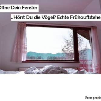 Tipp 3: Öffne das Fenster. Hörst du die Vögel? Echte Frühaufsteher