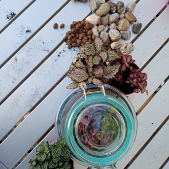 Glas mit Pflanzen und Steinen